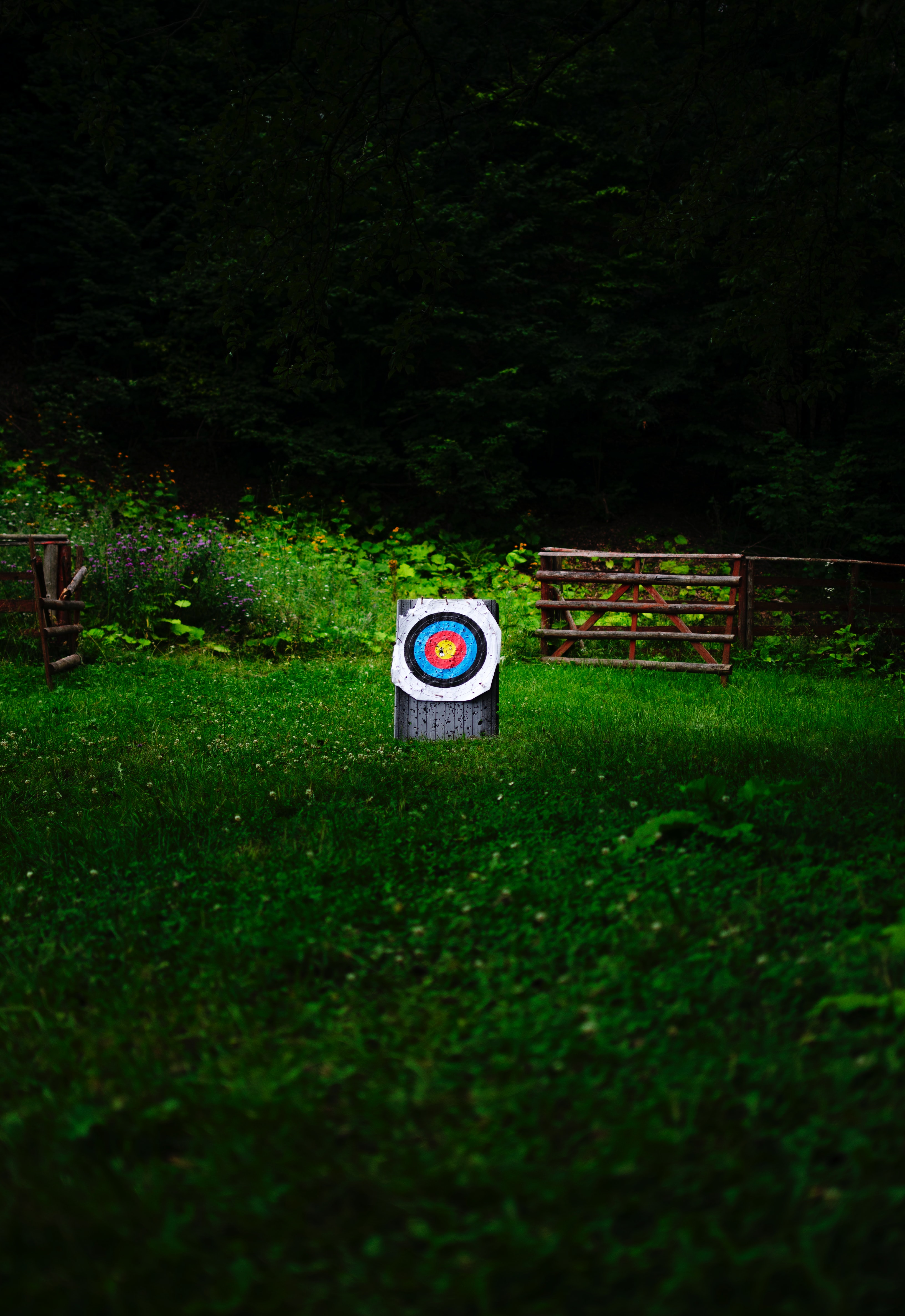 Archery Background